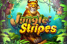 jungle stripes
